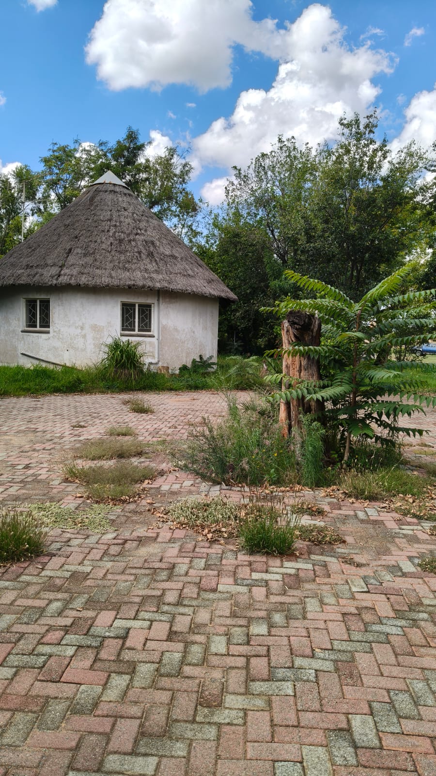 4 Bedroom Property for Sale in Hennenman Free State
